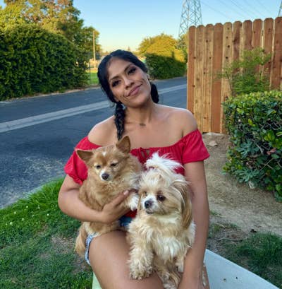 Room wanted in San Francisco Bay Area Main Photo