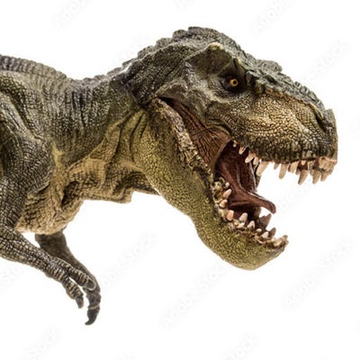 Room wanted in New York Main Photo