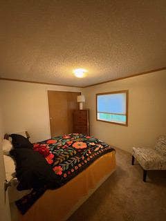 Two Bed One Bath available to rent in shared house Main Photo