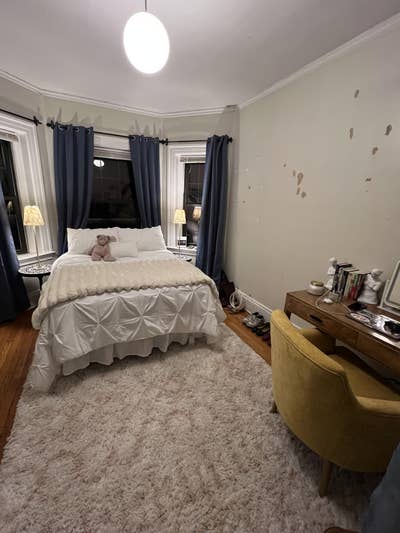 1 Room in Spacious Coolidge Corner Apartment Main Photo
