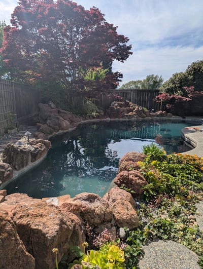 2 Rooms with private bathroom in Rancho Solano Main Photo