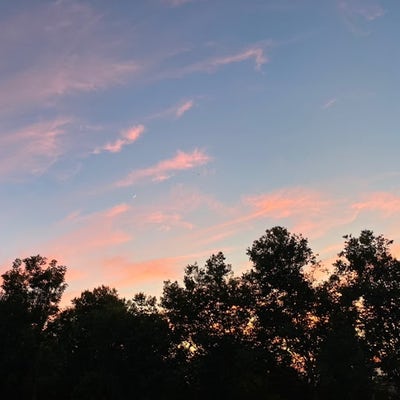 Female student needs Pasadena room ASAP Main Photo