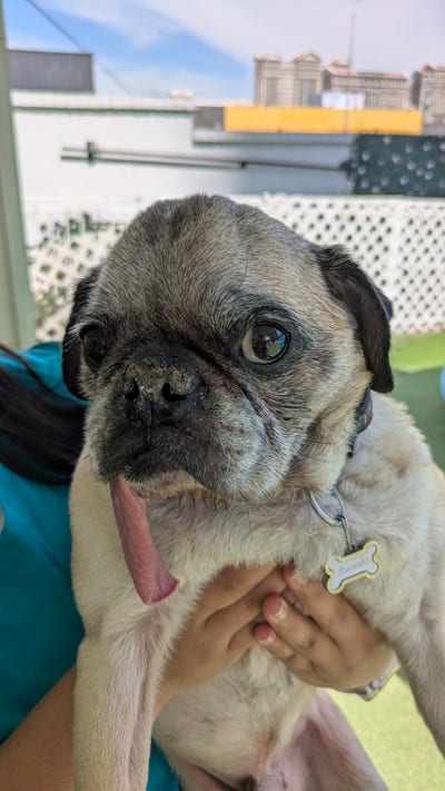 Room wanted in Las Vegas Main Photo