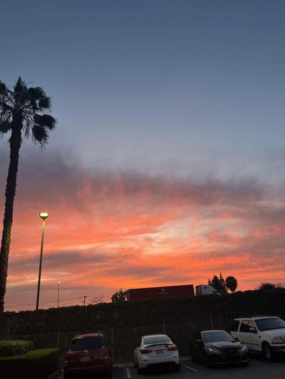 Woman looking for a room in Los Angeles now Main Photo