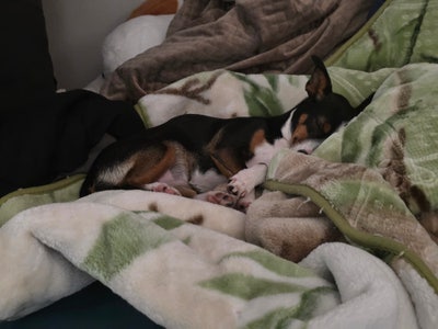 22 year old male looking for Moorpark room Main Photo