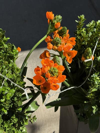 Room wanted in NYC Main Photo