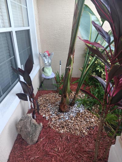 Furnished room for rent with a female shared bathr Main Photo