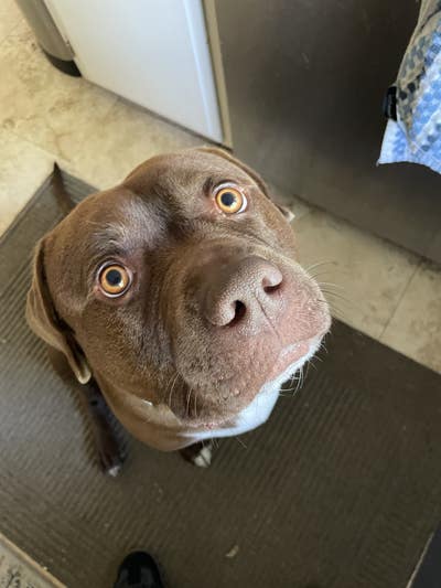 Student looking for a room in Fullerton Aug 15 Main Photo