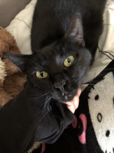 19 year old female looking for room in Lancaster Main Photo