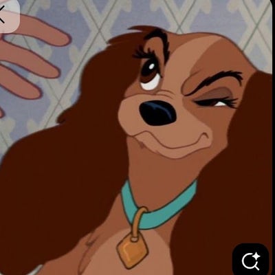 Room wanted in Seattle Main Photo