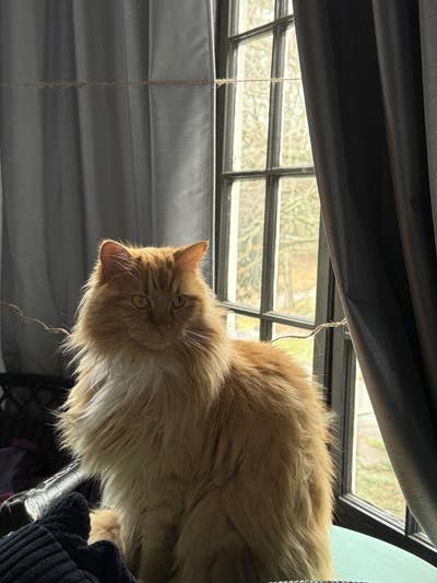 Room wanted in Marietta, GA Main Photo