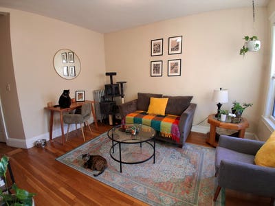 Cozy room near Forest Hills Main Photo