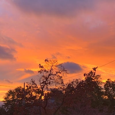 Room wanted in Westchester County, NY Main Photo