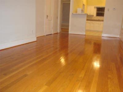 Spacious one bed and one bath apt in a nice area Main Photo