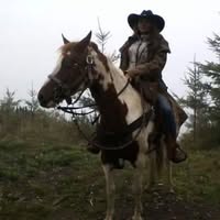 Room wanted in Chehalis, WA Main Photo