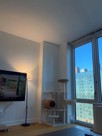 Lic Core area summer sublet  Main Photo