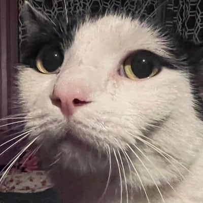 Reliable male looking for a room in Paramount Main Photo