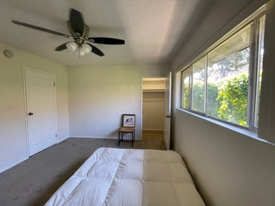 Beautiful room to rent in townhouse Main Photo