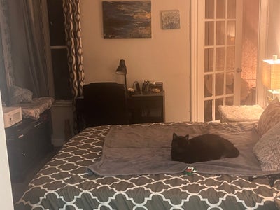 Room for rent for gay male Main Photo