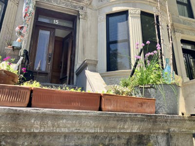 Small room in 3BR apartment-share by Prospect Park Main Photo
