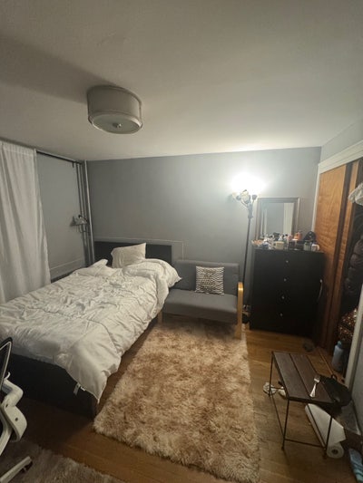 Large Room Furnished Williamsburg  Main Photo