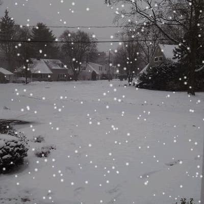 Room wanted in Morris plains Main Photo