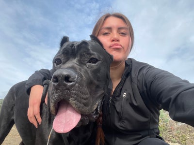 22 year old female looking for a room in Orange Main Photo