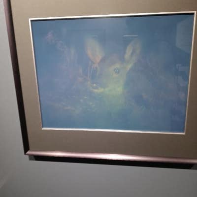 Room wanted in Bronx, NY Main Photo