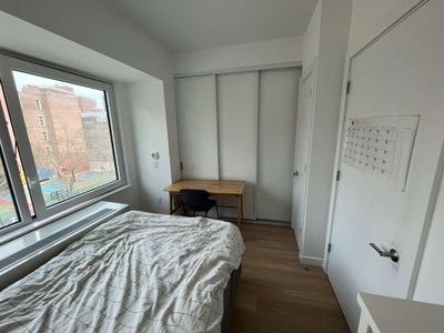 Long term roommate (fimale) Main Photo