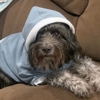 Male looking for a room in Huntington Beach Main Photo