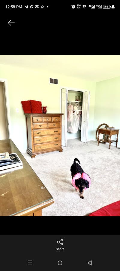 Bright Upstairs Room | Front_Facing Window | Spac Main Photo