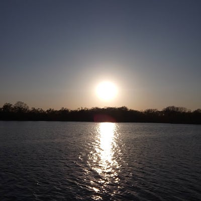 Room wanted in Carol Stream, IL Main Photo