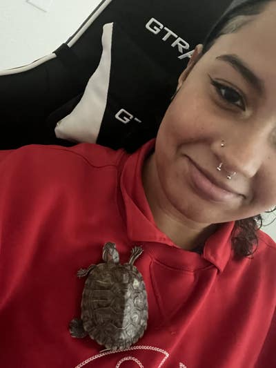 Female looking for a room in Los Angeles now Main Photo