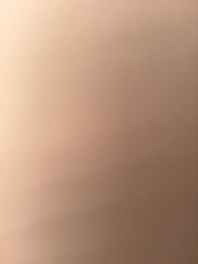 Room wanted in Jersey City, NJ Main Photo