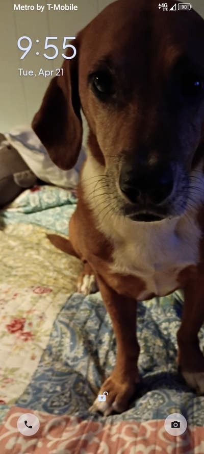 Room wanted in Brooksville, FL Main Photo