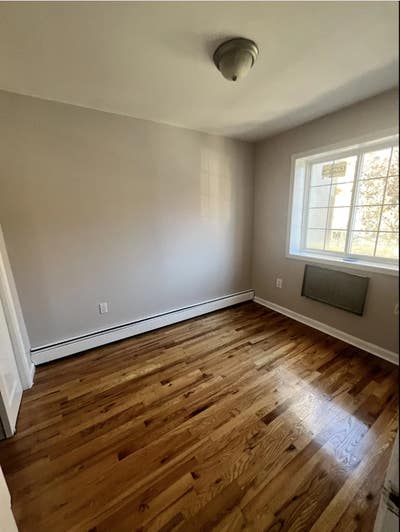 Room plus bath in sunny, spacious Bed Stuy apt Main Photo