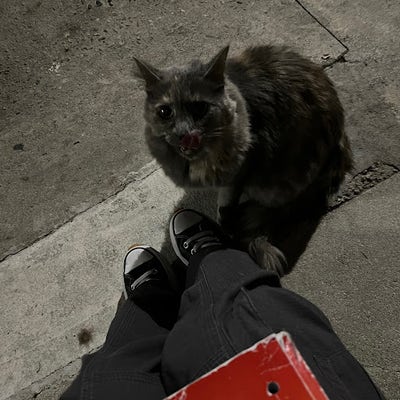 Student looking for a room in Los Angeles now Main Photo