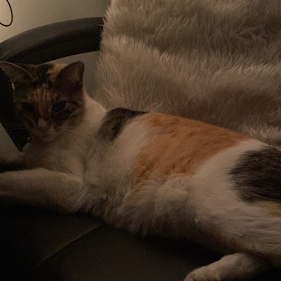 20 year old female student needs Whittier room Main Photo