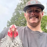 Room wanted in Port Orchard, WA Main Photo