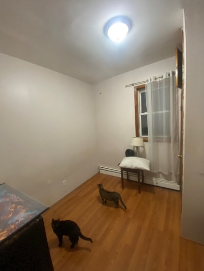 Rooms In Jersey City Main Photo