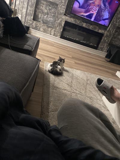 Room wanted in New York Main Photo