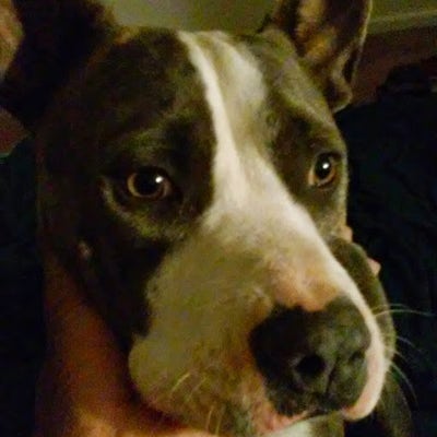 Reliable male looking for Santa Ana room now Main Photo