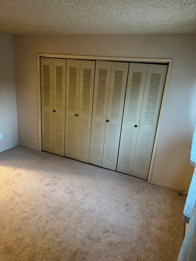 Roommate needed Main Photo