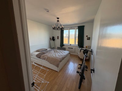 1 room in off Graham L stop Main Photo