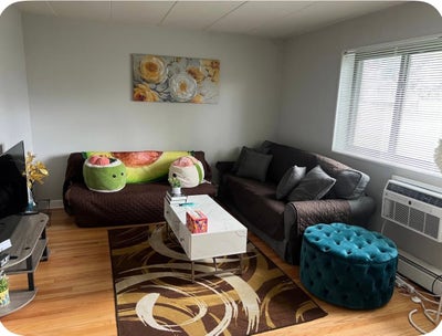 Roommate Wanted: Fully Furnished 2BR Apartment Main Photo