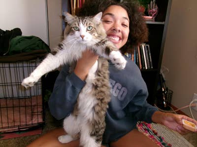 26 year old woman looking for room in LA area Main Photo