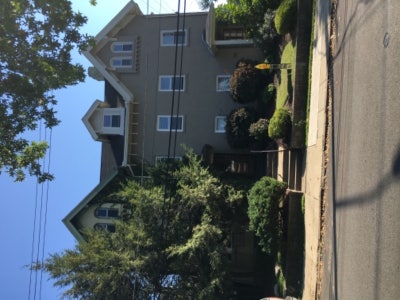 Walnut st Shadyside 1br apt. Pittsburgh Beautiful! Main Photo