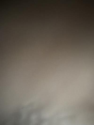 Room wanted in Manhattan, NY Main Photo