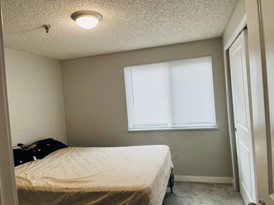 Looking for a female  Main Photo