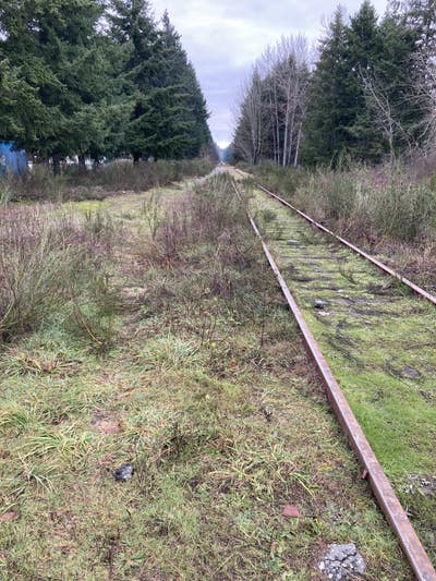 Room wanted in Jersey City, NJ Main Photo